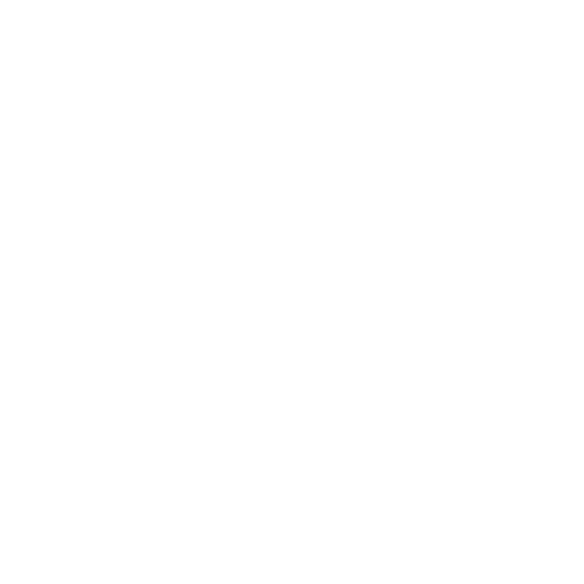 AEROSTORE